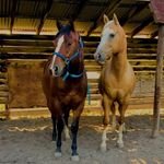 Mark D. Samuelson - @samuelson660 - Instagram