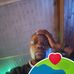 Mark Sande - Facebook