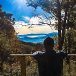 Mark Sanders - @mark_sanders - Instagram