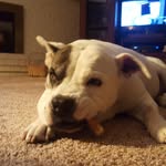Mark Sandgren - @sandgrenmark - Instagram