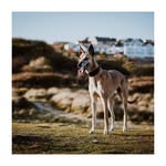 Mark Sankey - @sankey1799 - Instagram