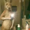 Marcos Santamaria - @marksantamaria9 - TikTok