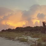 Mark Sapp - @mark.sapp.7 - Instagram