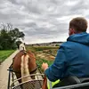 Markus Schaar - @schoali123x - TikTok