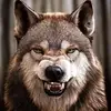 markusschaart4 - @ikarus875 - TikTok