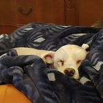 Mark Schacht - @calixan78 - Instagram