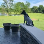 Mark Schaefer - Facebook