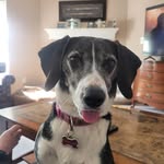 Mark Schaefer - @markschaefer66 - Instagram