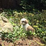 mark schaefer - @markschaefer67 - Instagram