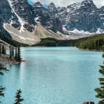 Mark Schaeffer - @mark_shaeffs - Instagram