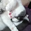 markschaffner761 - @markschaffner761 - TikTok