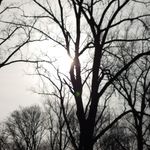 mark schaffer - @mark.schaffer2012 - Instagram