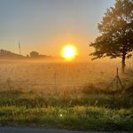 Mark Schaffer - @m.a.r.kscha - Instagram