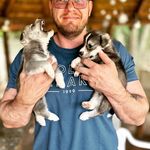 Mark Robert van Schalkwyk - @mark_van_schalkwyk - Instagram