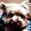 matzschartner - @matzschartner - TikTok
