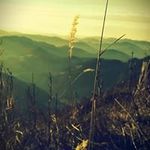 Mark Schaub - @mchauberger - Instagram