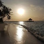 Dirk Markscheffel - @dirkmarkscheffel - Instagram