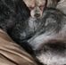 Mark Scheffel - Facebook