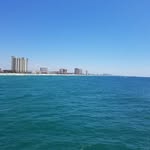 Mark Scheiber - @markscheiber352 - Instagram