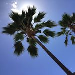 Mark Scheller - @schellermark - Instagram