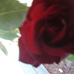 Mark Schembri - @mark.schembri.146 - Instagram