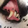 markschembri519 - @markschembri519 - TikTok