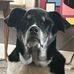 Mark Schieber - Facebook