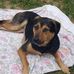 Mark Schimpf - Facebook