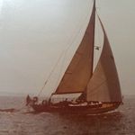 mark schlesinger - @schlesinger661 - Instagram
