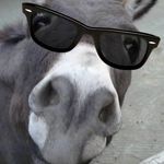 mark schlueter - @schlueti33 - Instagram