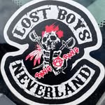 Mark Schmidt - @lostboysgarage616 - Instagram