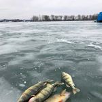 Mark Schreck - @troutmark91 - Instagram