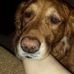 Mark Schuerman - Facebook