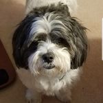 Mark Schulte - @mark.schulte.96 - Instagram