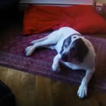 Mark schumann - @juergen.zupp - Instagram