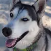 Mark Schuster - @mark.schuster45 - TikTok