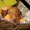 Markus Schuster - @markus.schuster87 - TikTok