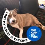Mark Schwed - @markschwed - Instagram