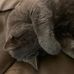 Mark Scrivner - Facebook