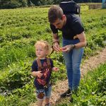 Mark Sedgwick - @sedgwickmark - Instagram
