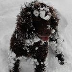 Mark Sedgwick - @mark.sedgwick.923 - Instagram