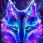Mark Sedlak - @msedlak667 - Instagram