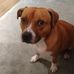 Mark Sefton - Facebook