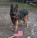Mark Segrest - Facebook
