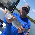 Mark Seibert - @seibert16 - Instagram