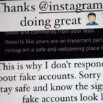 mark seibert - @markseibert1154 - Instagram