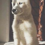 💙XMarkXSeiboldX / Germany - @_mark_seibold_ - Instagram