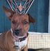 Mark Seitz - Facebook