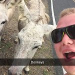 Mark Seitz - @markopolo1256 - Instagram