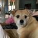 Mark Seitzinger - Facebook